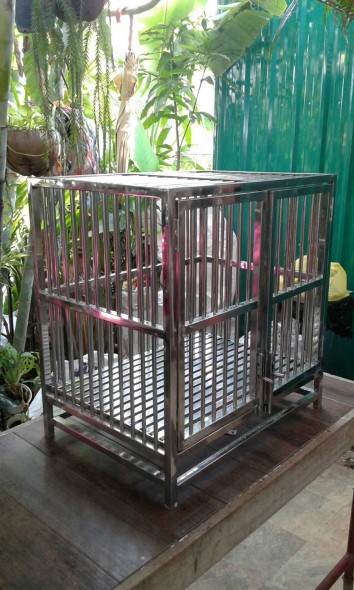 กงสัตว์เลี้ยง