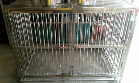 กงสัตว์เลี้ยง