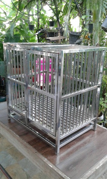 กงสัตว์เลี้ยง