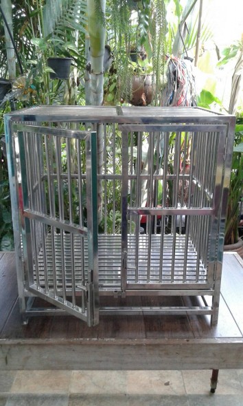 กงสัตว์เลี้ยง